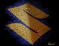 Uživatelský avatar