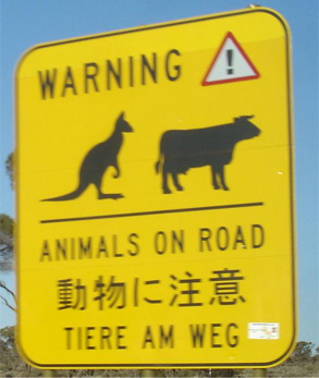 Bez názvu 1 kopie.jpg