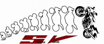 vyvoj SV z embrya_silou vule_maly.jpg