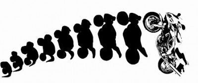 vyvoj SV z embrya_siluety_maly.jpg