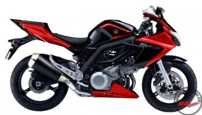 SUZUKI_SV1000SK8a.jpg