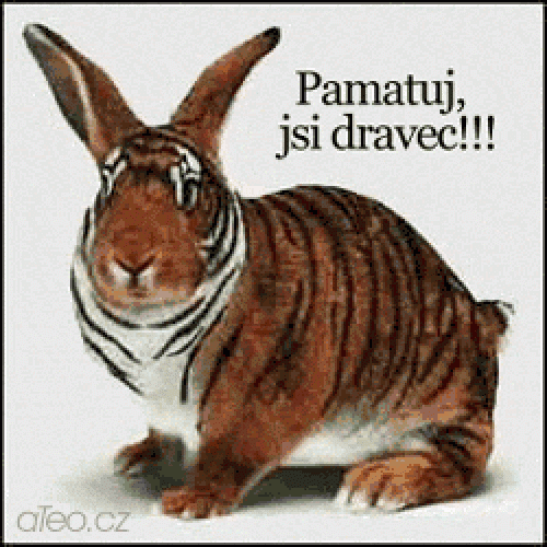 10476142.gif