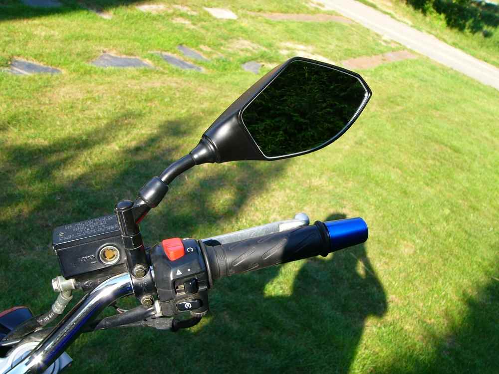 SV 003.jpg