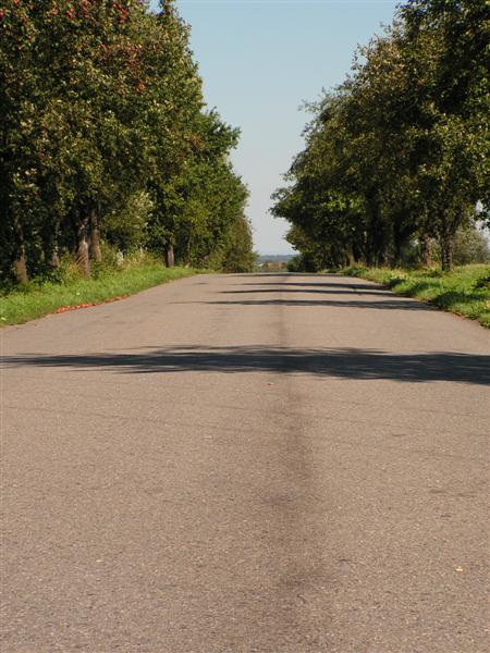 PICT0005 (Medium).JPG