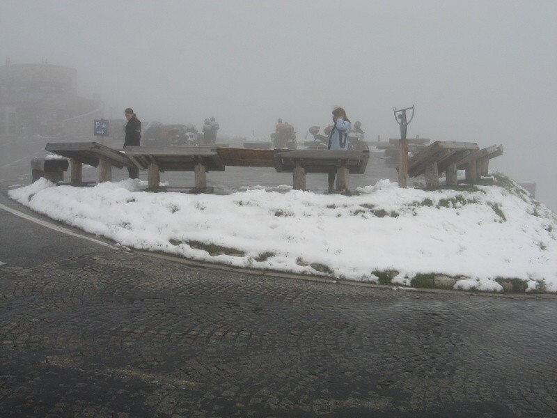 IMG_1223.jpg