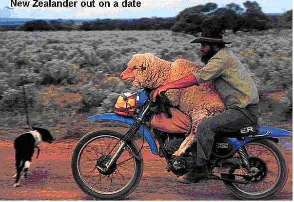 sheep rider.JPG