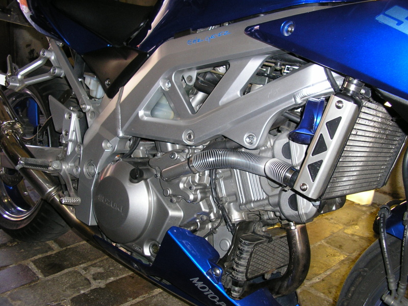 P4220176.jpg