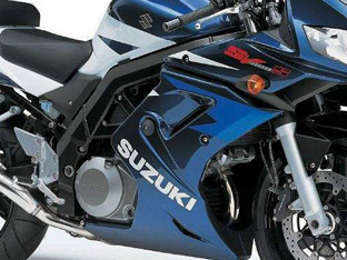 Suzuki_SV1000SZ_a.jpg