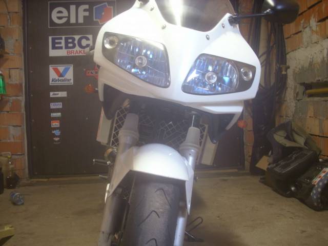SV0393.jpg