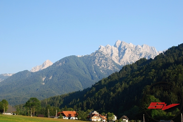 DSC_6419.jpg