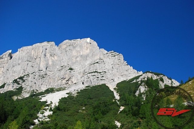 DSC_6426.jpg