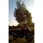 08
