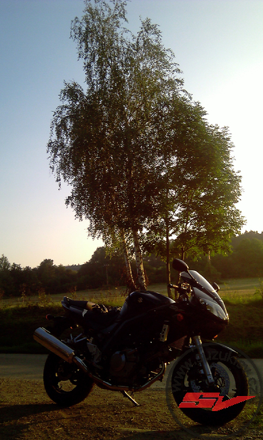 08