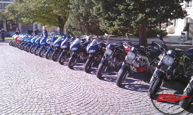 IMAG0229