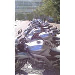 IMAG0231