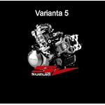 Varianta 5