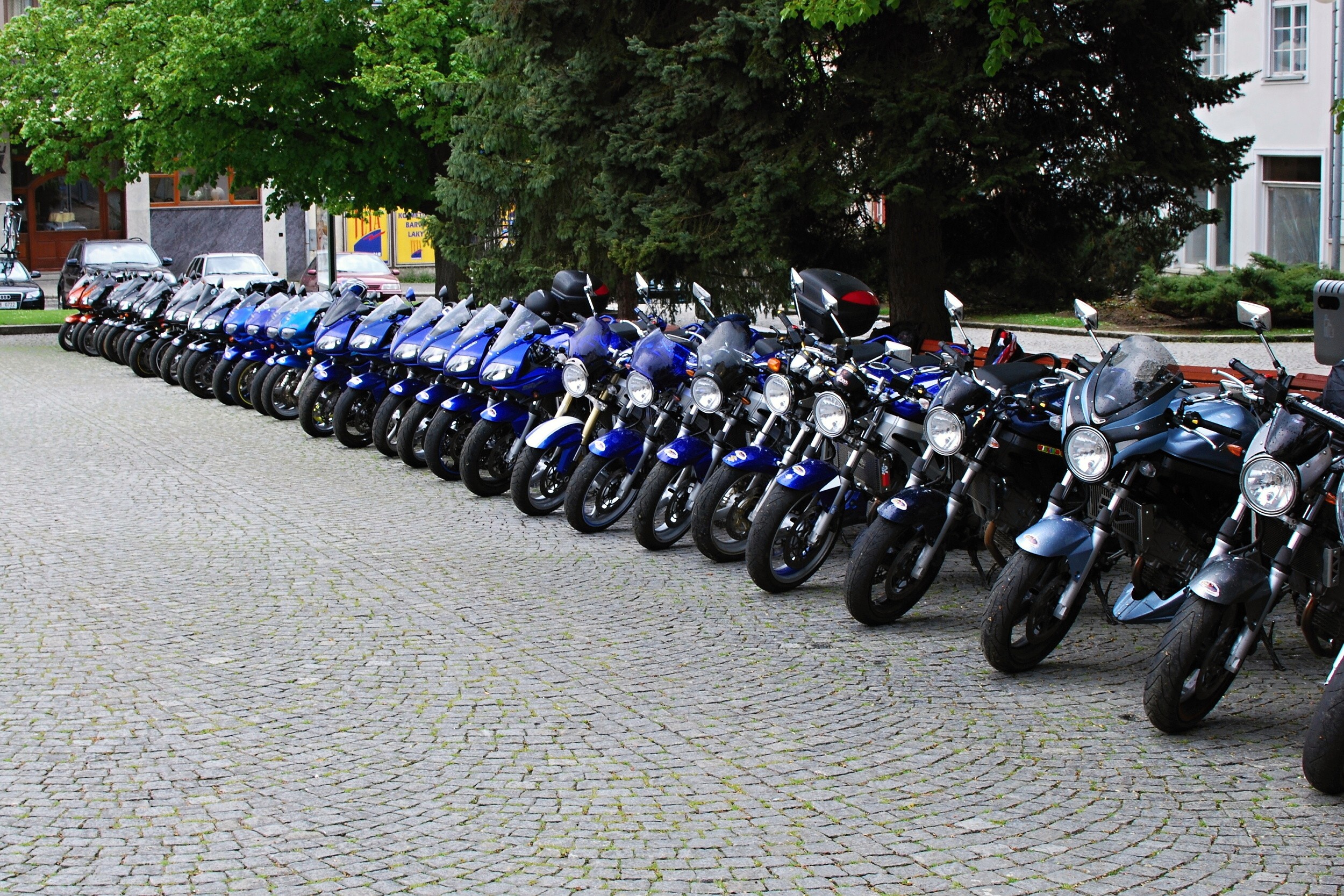 DSC_1160.JPG