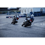 Sosnova_398