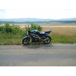 Vejlet 28-07-2011