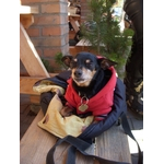 DSCN4875