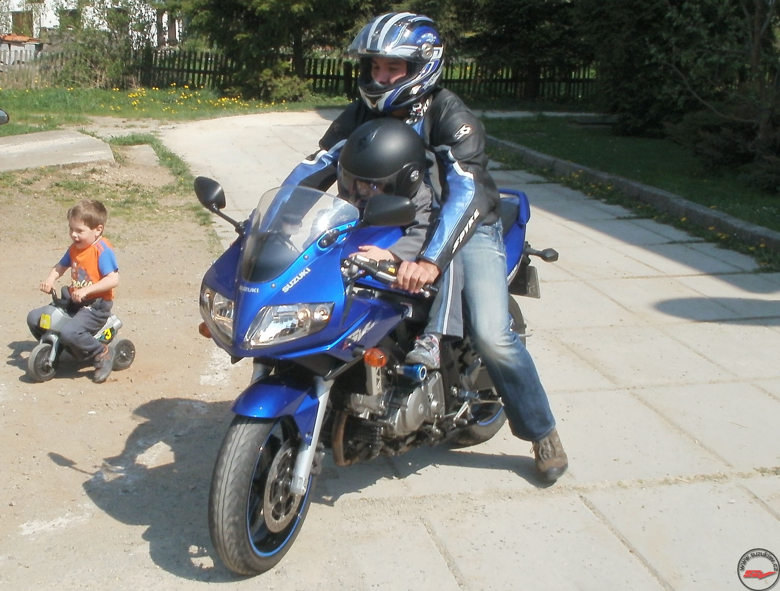 suzukisv