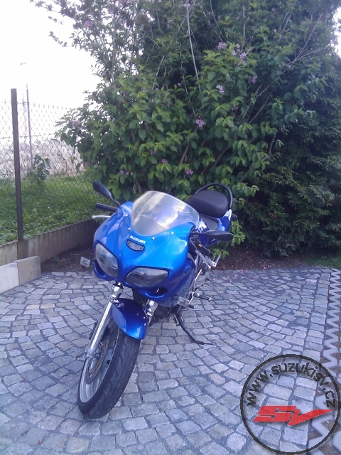 IMAG0098.jpg