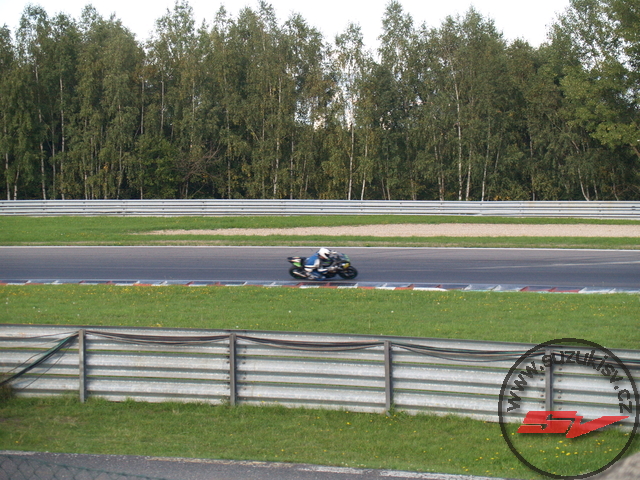 p1019581
