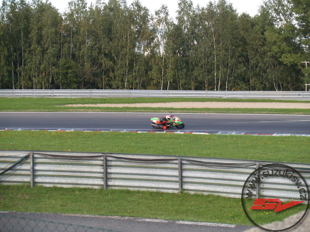 p1019582