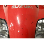 DSCN7353