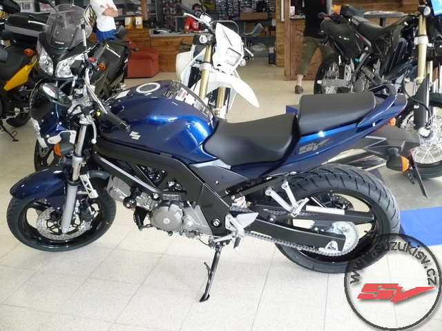 Suzuki 068