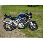 Suzuki 078