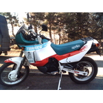 Tuareg