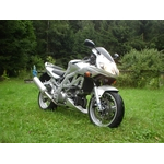 SV1000S