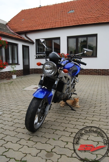 DSC_6209.jpg