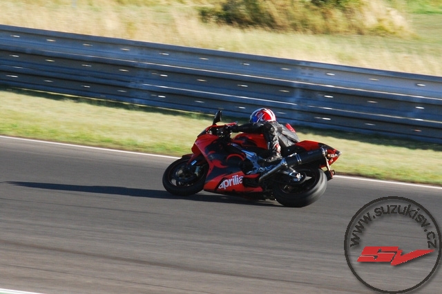 DSC_6303.jpg