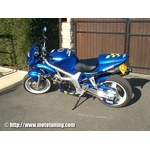 suzuki_sv_650_kenny_roberts_img04