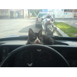 kote2