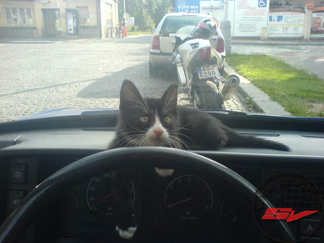 kote2