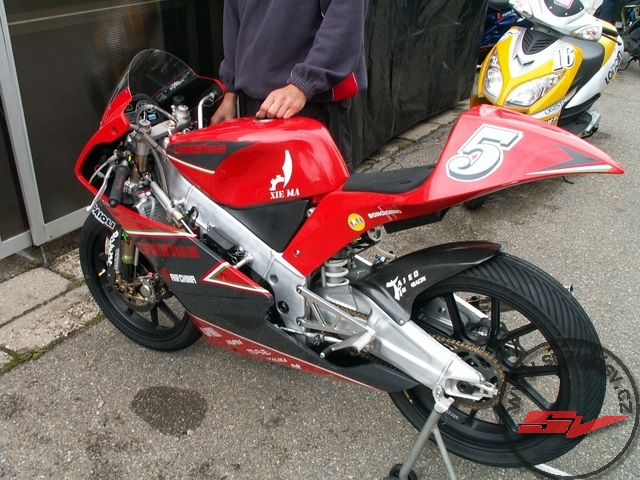 paddock5