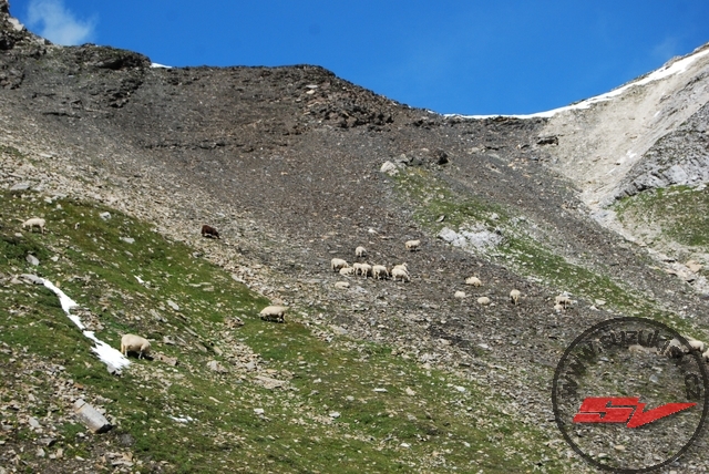 DSC_0037.jpg