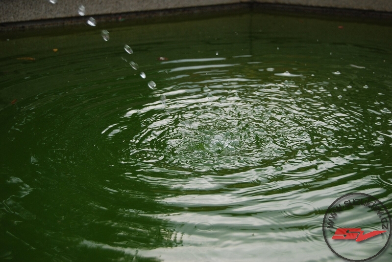 DSC_1222.jpg