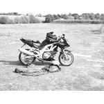 55