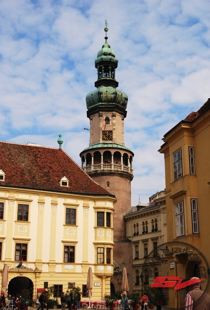 DSC_2412.jpg