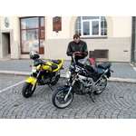 SV předsraz 2008