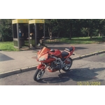 meruňka 2004