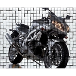 suzukisv1000