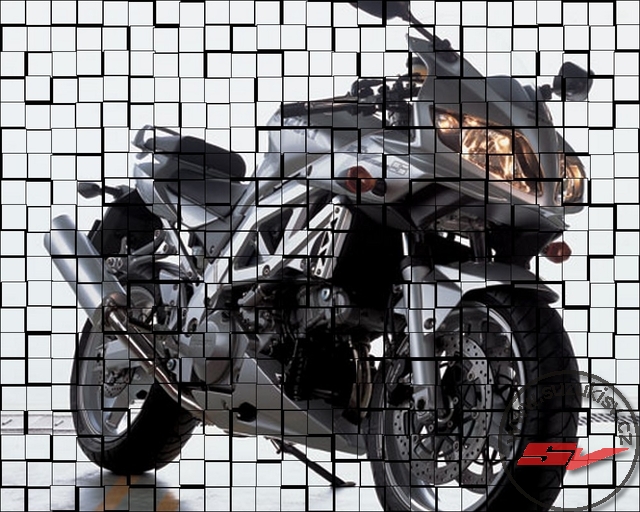 suzukisv1000
