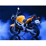 Suzuki_SV