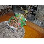 PC157014.JPG