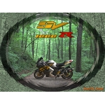SV1000Rposterfinal